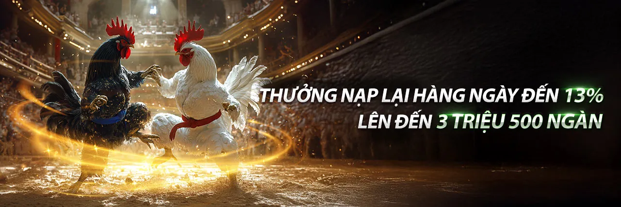 Sân vận động bóng đá với logo sh88 app và ánh sáng vàng xanh