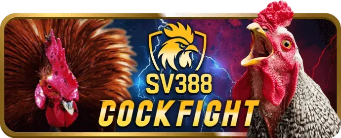 Hỗ trợ chuyên nghiệp sh88 app